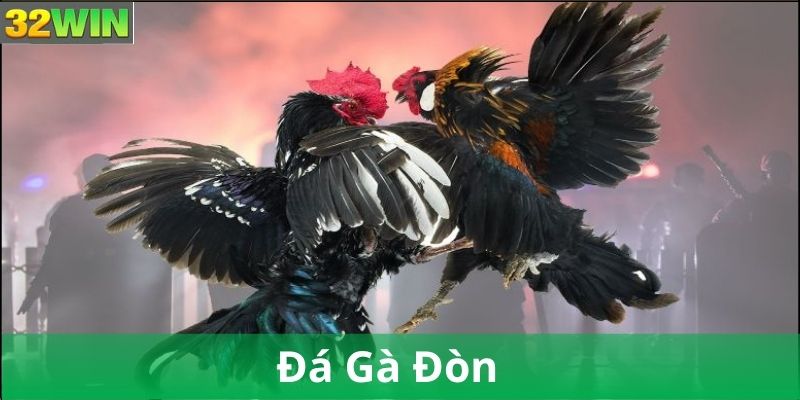 Đặc điểm nổi bật của gà đòn